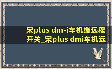 宋plus dm-i车机端远程开关_宋plus dmi车机远程位置在哪里设置